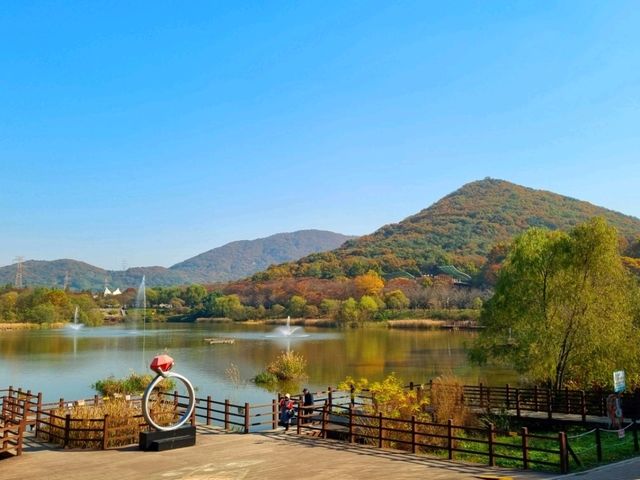 가을풍경 느낄 수 있는 인천대공원!!❣️