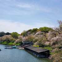 東京景點｜暢遊東京都心的綠洲—皇居外苑．千鳥之淵