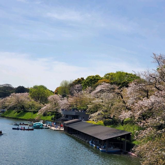 東京景點｜暢遊東京都心的綠洲—皇居外苑．千鳥之淵