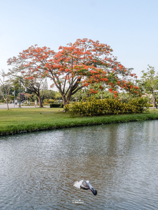 พาไปปั่นเรือเป็ด ชมพระอาทิตย์ตกที่สวนหลวง ร9 🌳