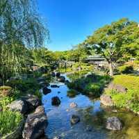 遊客分享：大仙公園，一個輕鬆悠閒的綠洲