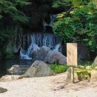 景點推薦：萬博紀念公園，放鬆又好拍的地方