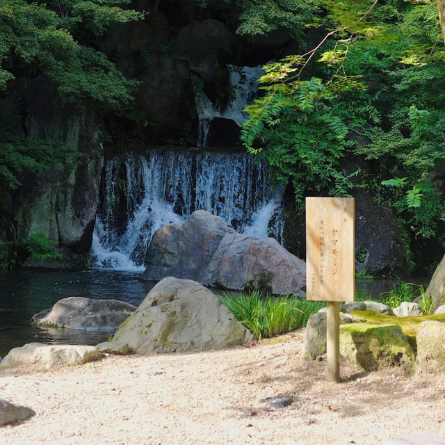 景點推薦：萬博紀念公園，放鬆又好拍的地方