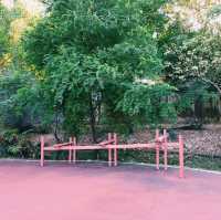 泰國曼谷市區天然濕地綠洲公園景點:Healthy Park，享受大自然綠意盎然，適合拍照📸打卡親子遊