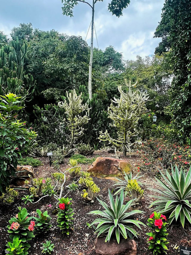 The Singapore Botanic Gardens