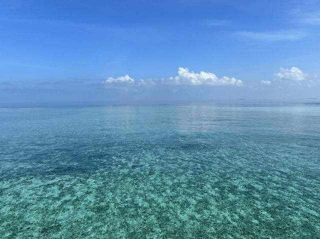 非凡享受：Alila Kothaifaru Maldives 水屋入住體驗