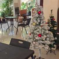 Cozy Cafe Camp คาเฟ่ลับ ลพบุรี 