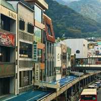 Hakone Freepass! Tokyo outskirts hidden gems awaits for exploration!