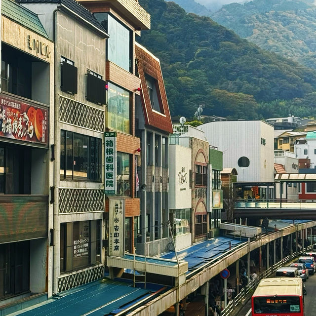 Hakone Freepass! Tokyo outskirts hidden gems awaits for exploration!
