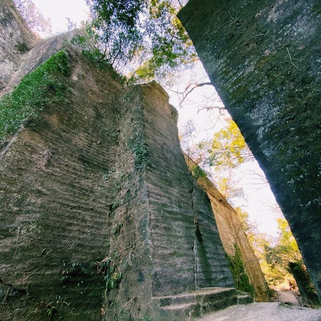 【千葉×鋸山】絶景と運動を楽しむアドベンチャー！