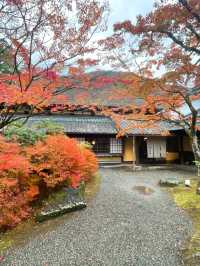 【湯布院】感動！亀の井別荘の素晴らしい紅葉✨