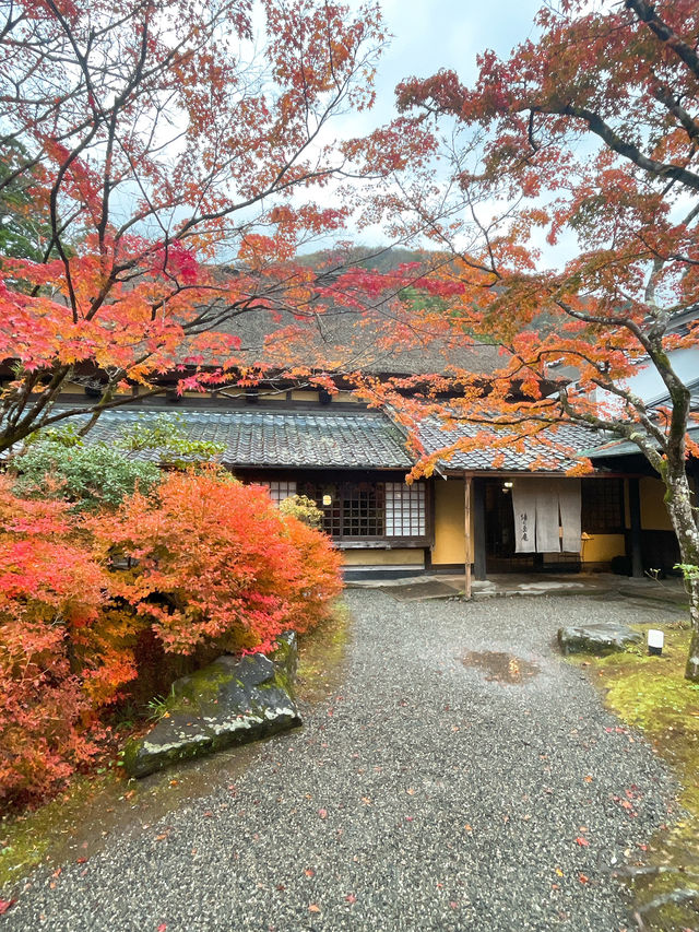 【湯布院】感動！亀の井別荘の素晴らしい紅葉✨