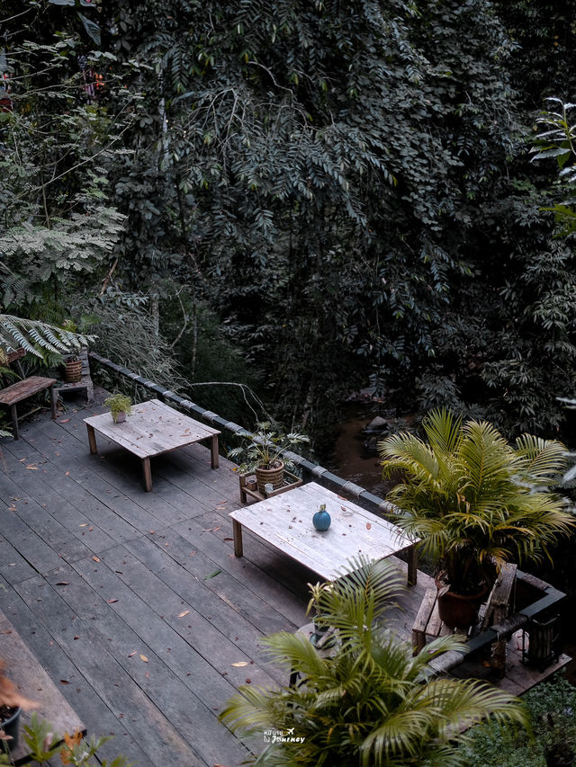 Bee Forest ที่พักริมลำธาร ใกล้แม่กำปอง🌿