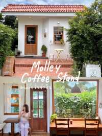 യ Molley Coffee Stand ❋ คาเฟ่ลับในหัวหิน 🌼