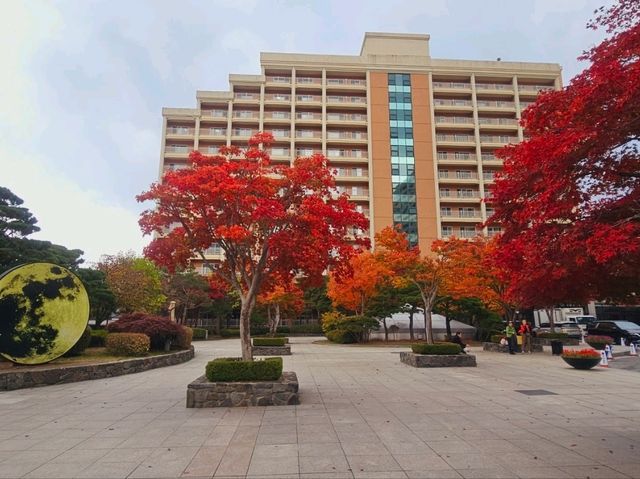 A mighty foliage scene at Sono Moon Danyang