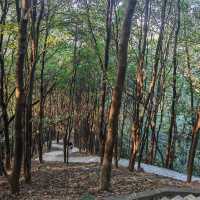 ～福林公園～清新派對～