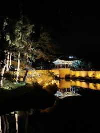 경주여행의 필수코스 동궁과월지✨💫🌌