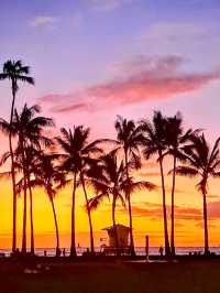 Aloha Palm Lovers: Hawaii Is Calling (And The Palms Are Waiting)
