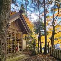 有馬溫泉銀杏秘境 〔潼本神社〕