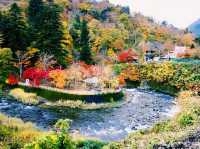 青森🇯🇵中野紅葉山