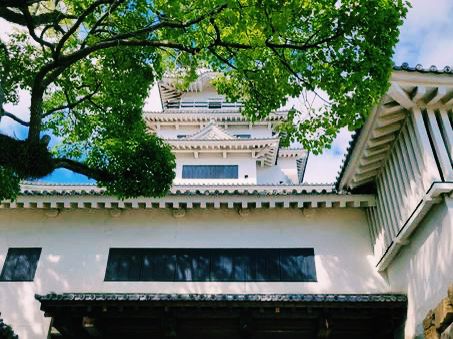 愛媛🇯🇵今治城