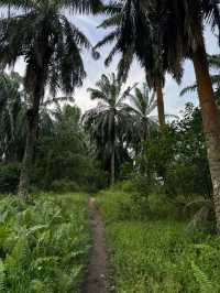 Taman Awam BBKP Blue Lake: A Serene Escape into Nature