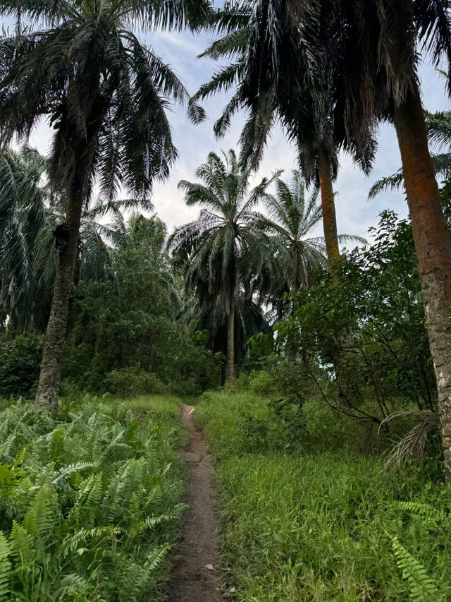 Taman Awam BBKP Blue Lake: A Serene Escape into Nature