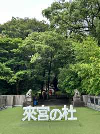 【熱海】来宮の杜で癒しとパワーをもらう旅🪄