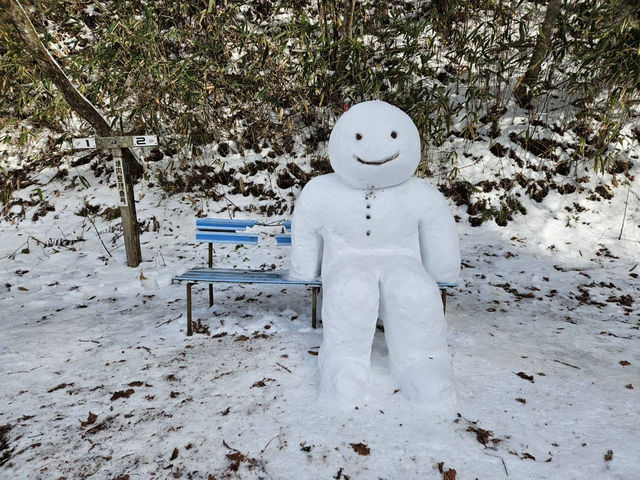 【関西観光】金剛山：関西の冬を彩る雪化粧の絶景スポット