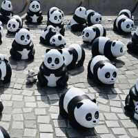 PANDA GO！香港-聖誕必去，逾2000隻大熊貓雕塑萌爆香港