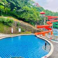 One of the most pricesless vaca.