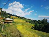 Review Mu Cang Chai and unforgettable skydiving experience