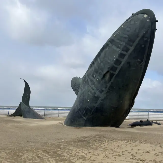 🇨🇳연태 여행 필수 코스 고독한고래&시광탑🐳