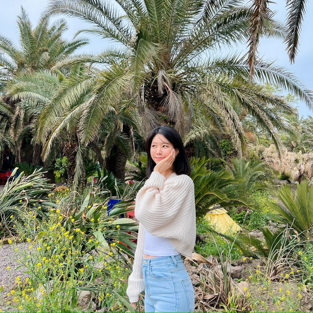 제주도 상가리야자숲 동남아 같은 이국적인 곳 🌴