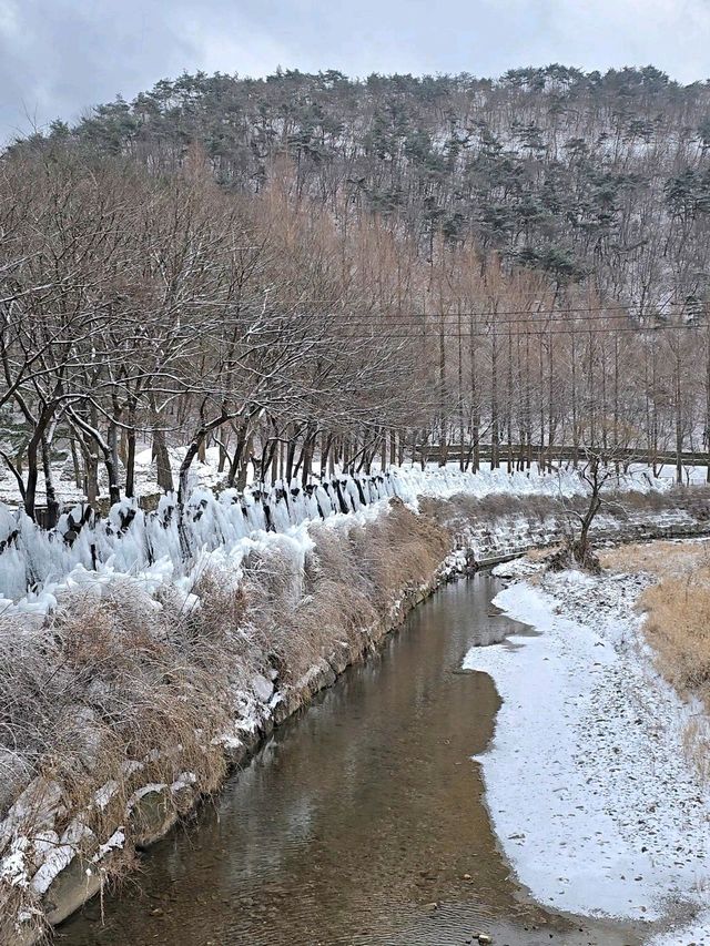 대전에서 빙벽을 볼 수 있는 곳💙
