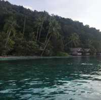 A Paradise Found: My Unforgettable Journey to Raja Ampat!