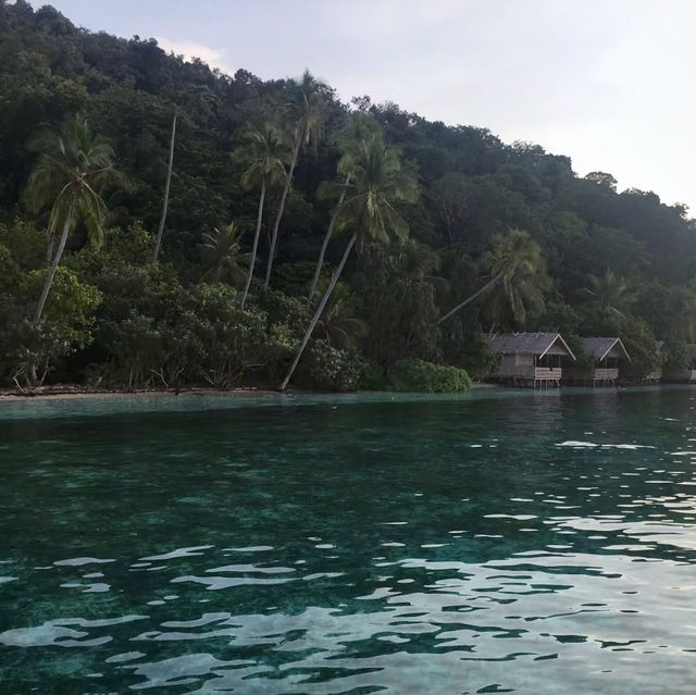 A Paradise Found: My Unforgettable Journey to Raja Ampat!