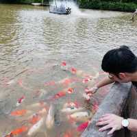 Bentong Farm Natural Gems 
