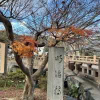 滋賀賞楓，你一定不能錯過八幡堀