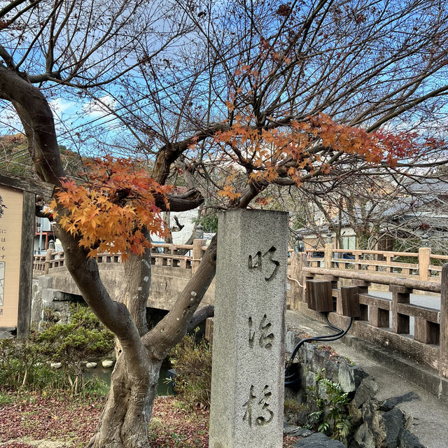 滋賀賞楓，你一定不能錯過八幡堀