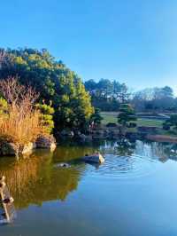 東京行程推薦：探索葛西臨海公園的自然與娛樂魅力🌊