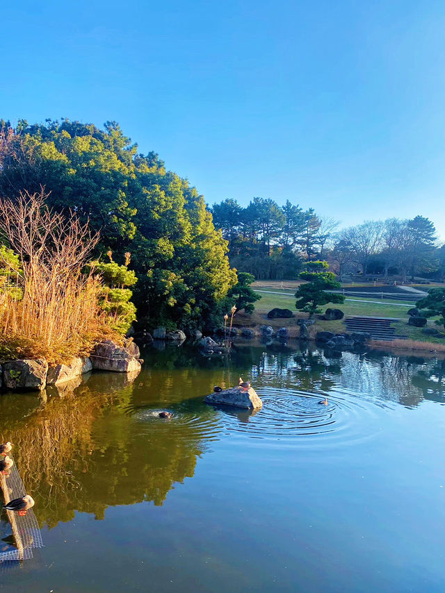 東京行程推薦：探索葛西臨海公園的自然與娛樂魅力🌊