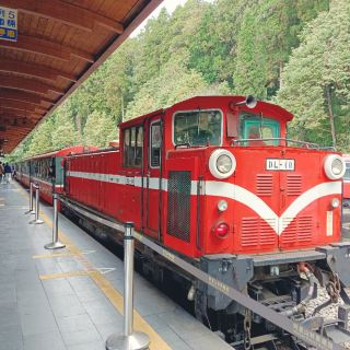 Alishan Forest Railway Journey!