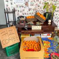 탈린커피바 tallinn coffee bar