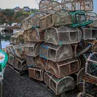 Discovering Fife's Hidden Gems
