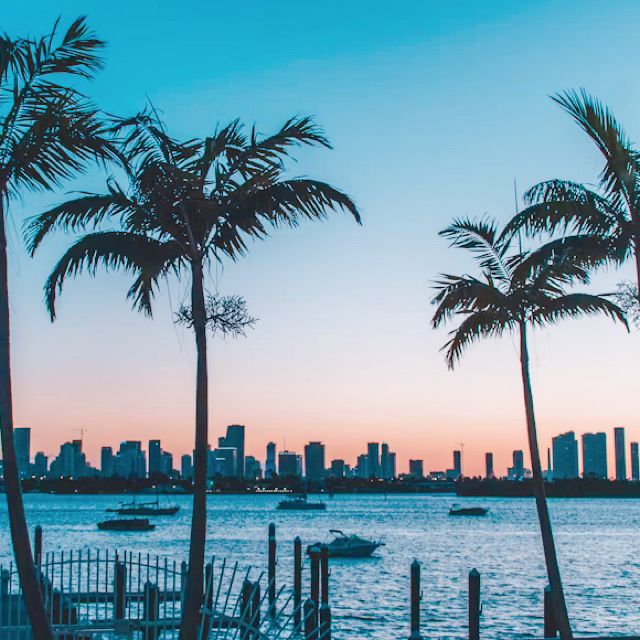 【温暖な気候🇺🇸で観光に◎】マイアミ🇺🇸🍍