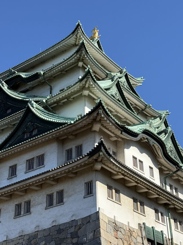 The Stunning Nagoya Castle, You Have To See It To Believe It! 🇯🇵 🏯🗾