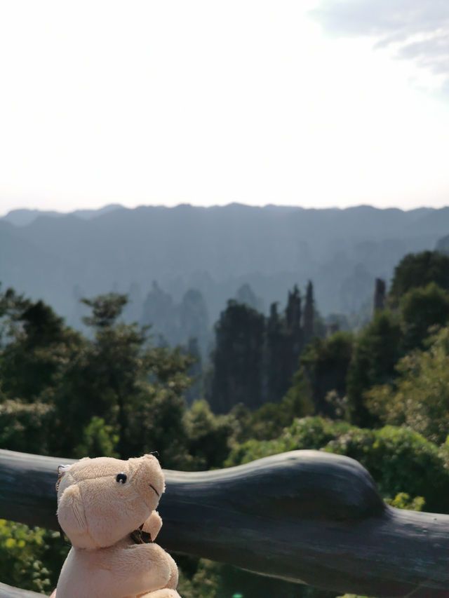 🇨🇳 Zhangjiajie: Step into the Real-Life Avatar World