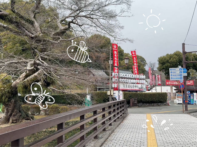 Kumamoto Inari Shrine ⛩️ | Kumamoto | Japan 🇯🇵