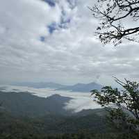 Amazing ทะเลหมอก ที่ดอยผาตั้ง จังหวัดเชียงราย